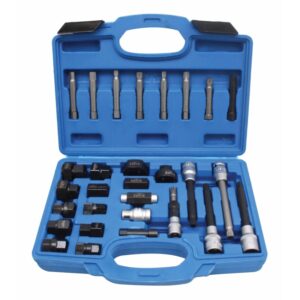 Set Alat za Alternator
